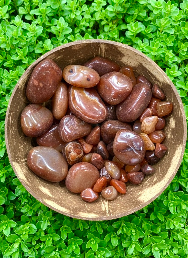 Ágata Cornalina (Carneola): La Piedra de la Vitalidad