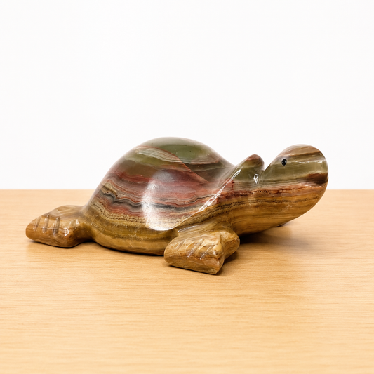 Tortuga de Ónix Natural